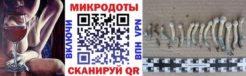 Галлюциногенные грибы Cubensis  Саранск 